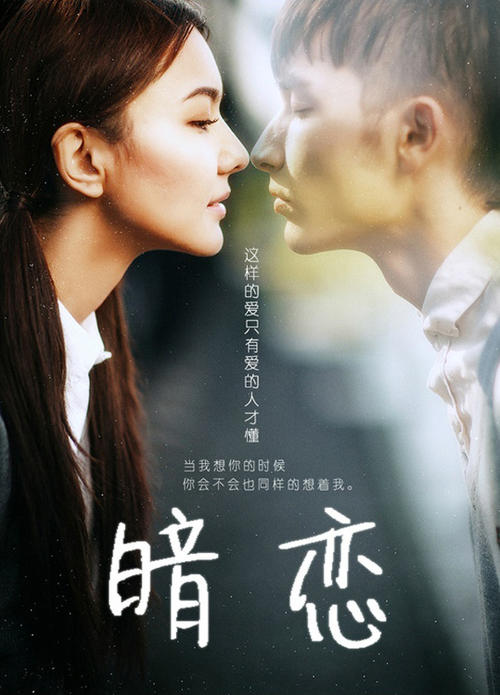 购买假的环境管理体系认证/证书